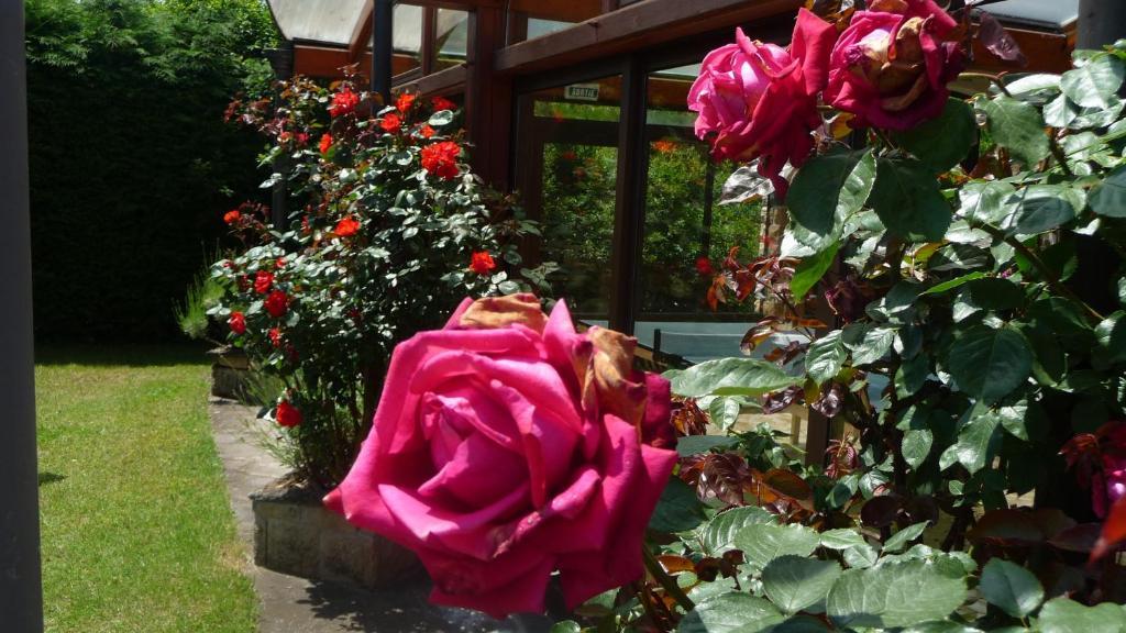 Hotel Logis La Rose Des Vents Volvic Zewnętrze zdjęcie